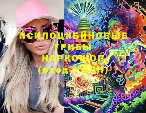 герыч Алексин