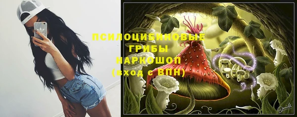 соль курить ск Алзамай