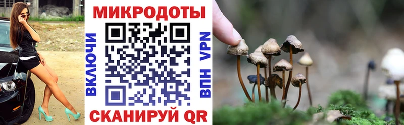 Галлюциногенные грибы GOLDEN TEACHER  Курганинск 