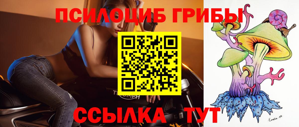 Курганинск  Галлюциногенные грибы Cubensis  Вход с VPN  Псилоцибиновые грибы Psilocybe 